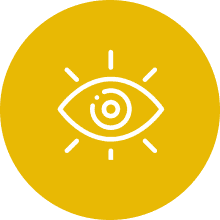 vision